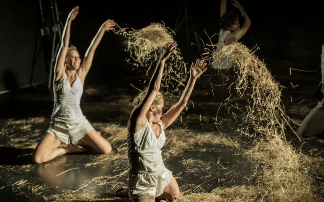 Plenir / La cesta – Balkan Dance Project